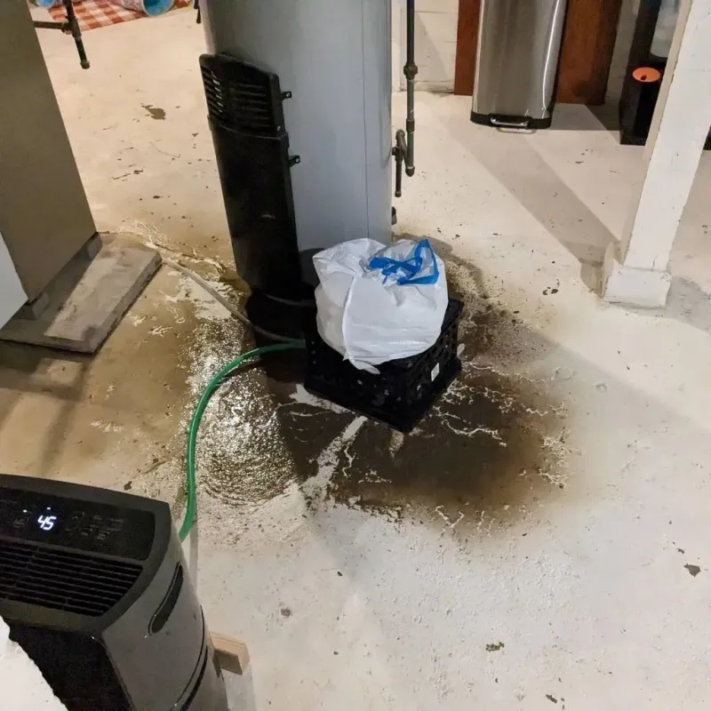 Sewage Backup Cleanup Service in Randolph, ME